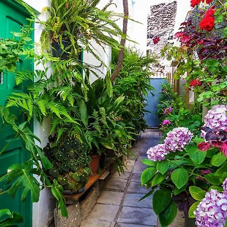 Ferienhaus Ojuelos Paraiso Natural *